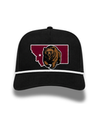 Montana Home of the Grizzlies