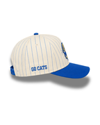 Montana State Vintage Pinstripe