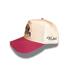 Montana Griz Football