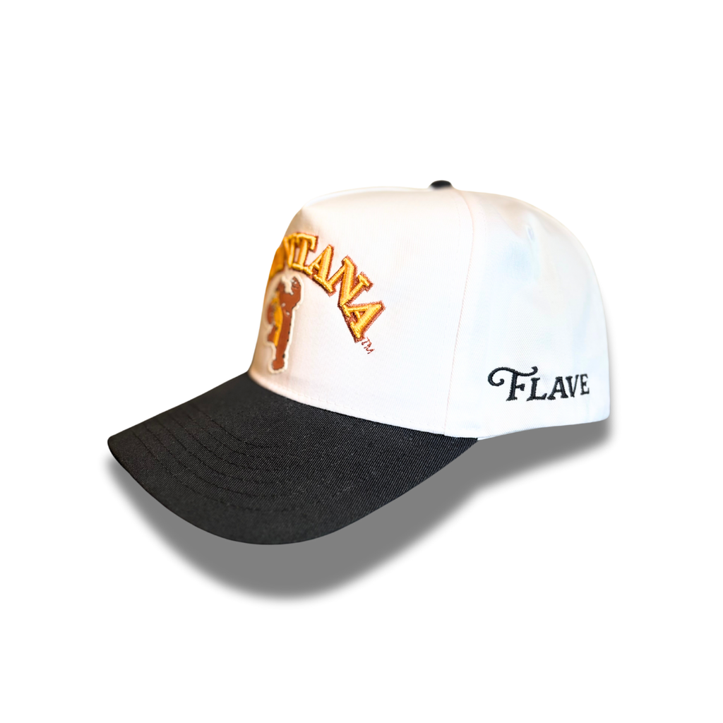 Vintage Montana Griz Hat