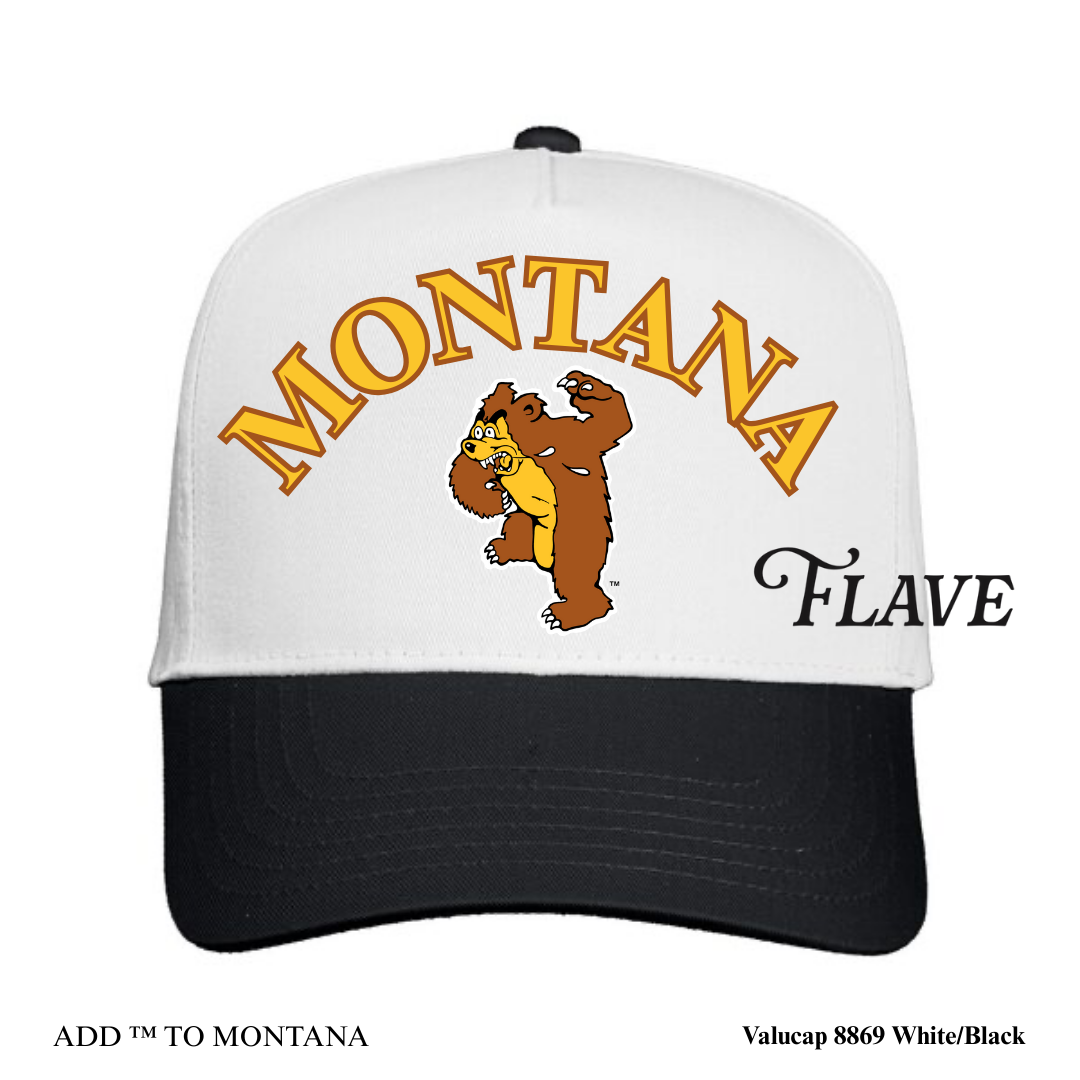 Vintage Montana Griz Hat